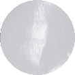 8026G BLANCO BRILLANTE