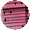 82010-4